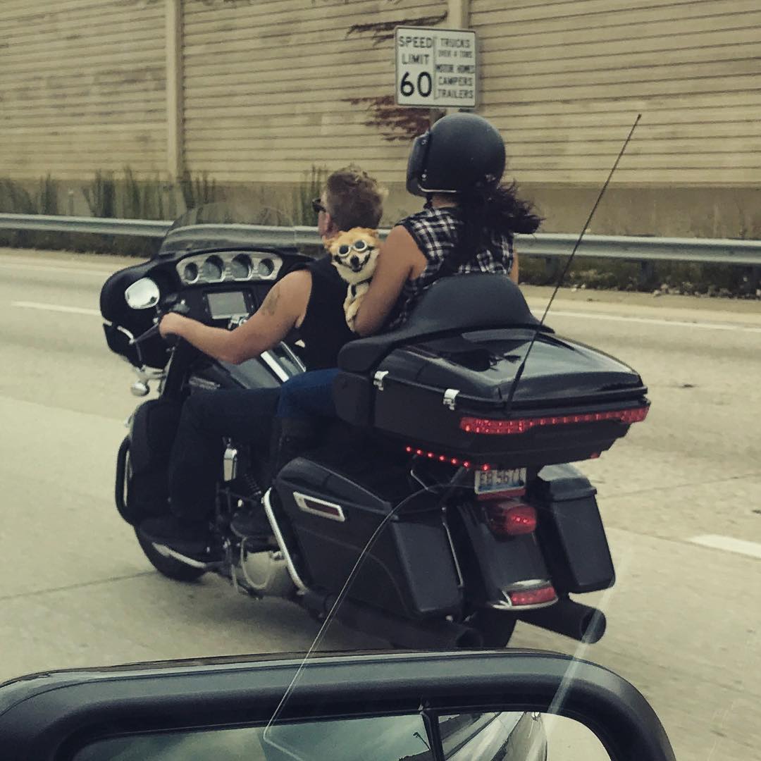 Finishing summer like... (as seen on I-94 in Illinois going 75mph)