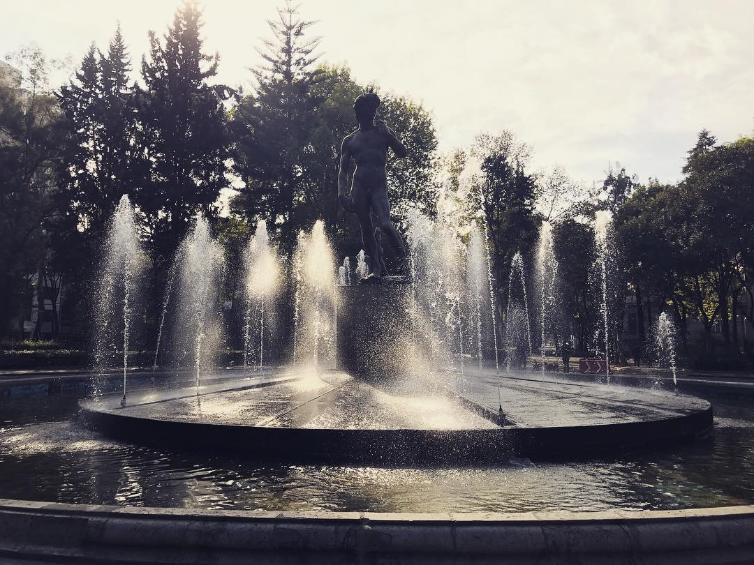 David en la fuente