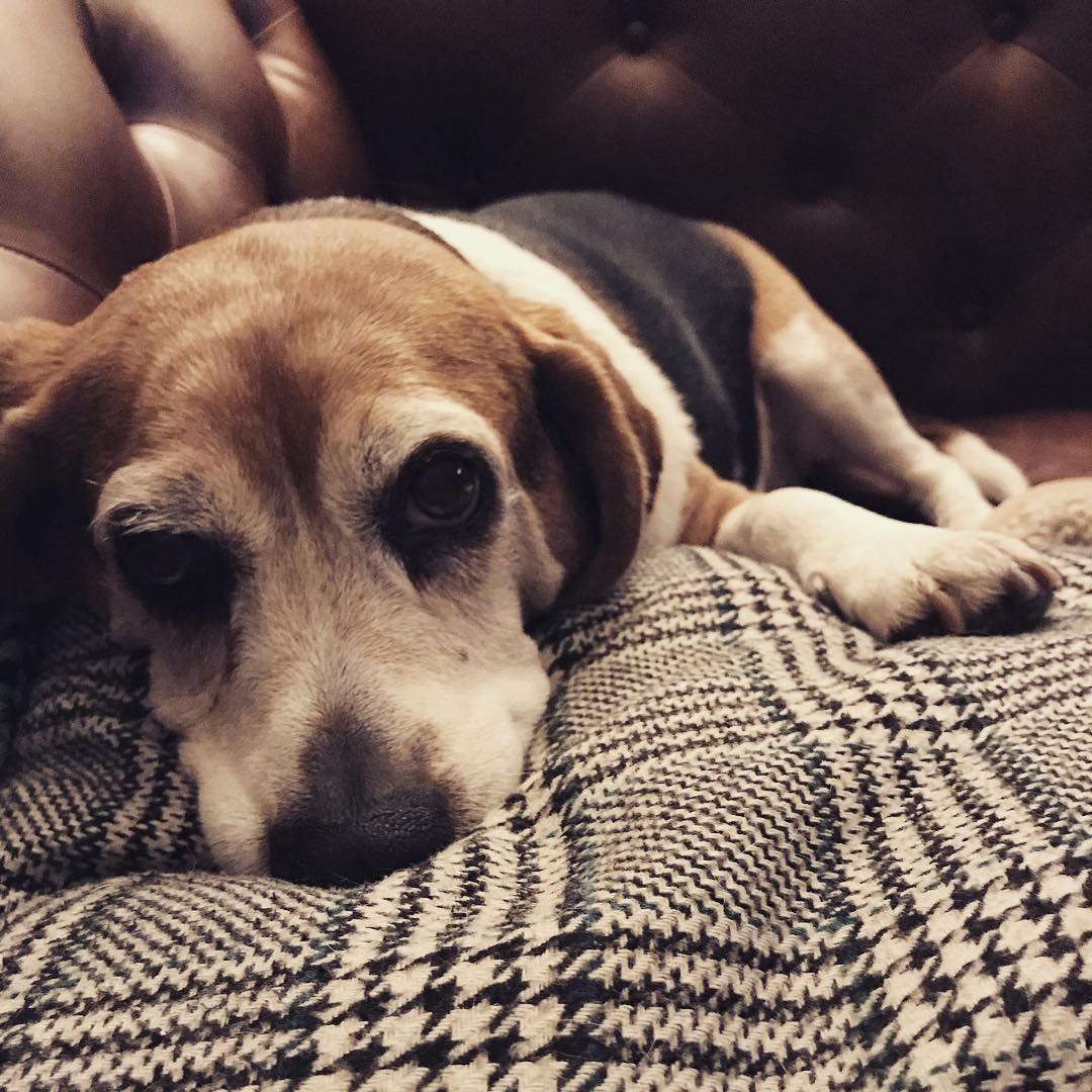 Sleepy Sunday