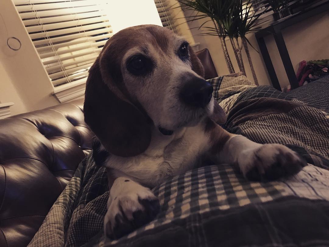 This one has been extra cuddly today.