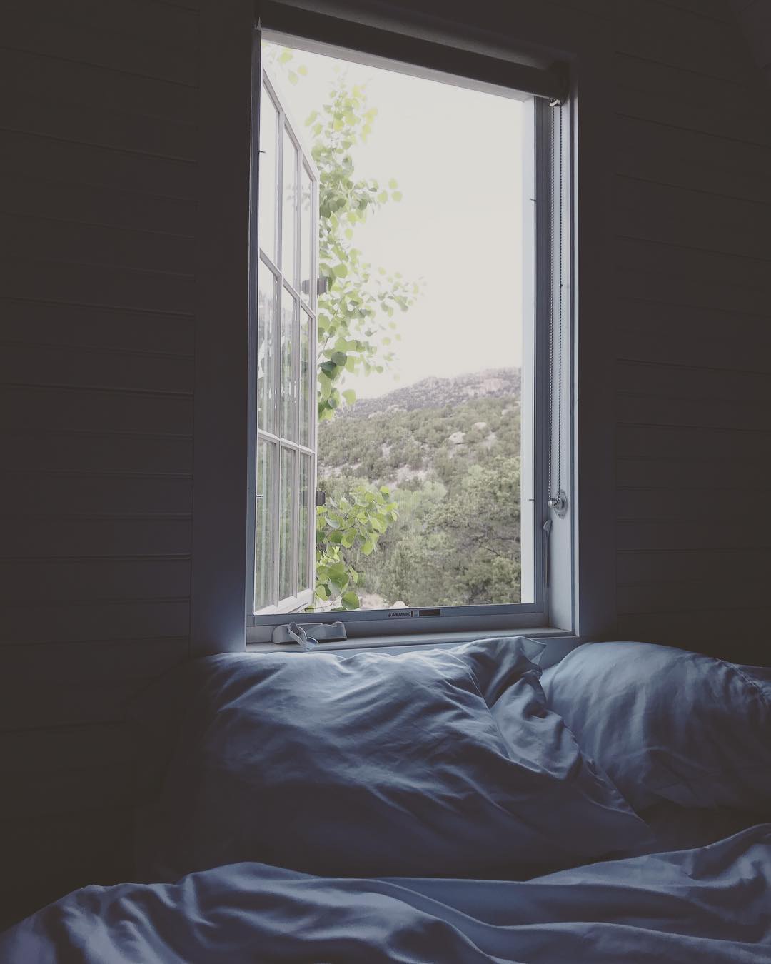 Not a bad way to wake up.