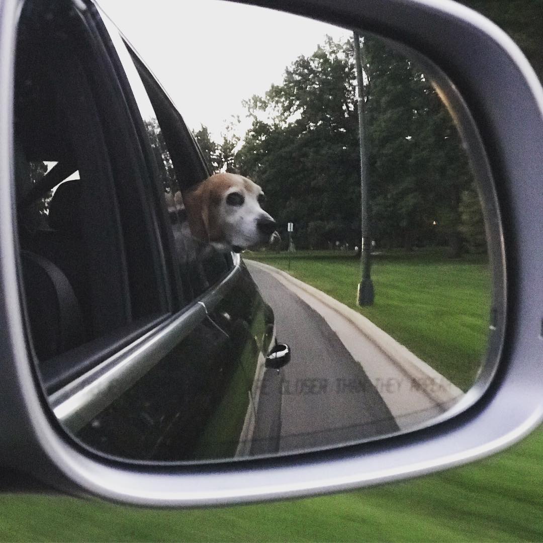 Park time.