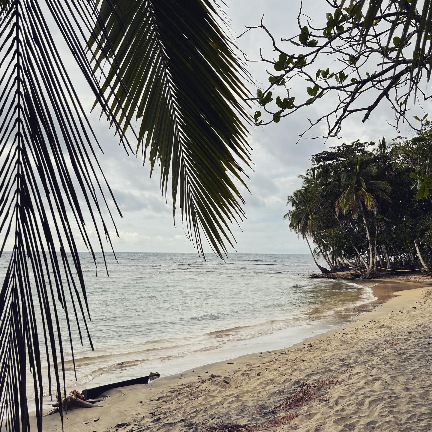 🦥 Three months ago, I flew from the United States to Costa Rica to start the next chapter of my life. 🏝 Here I’ve found so much peace and joy, made new friends, reconnected with friends from the US 