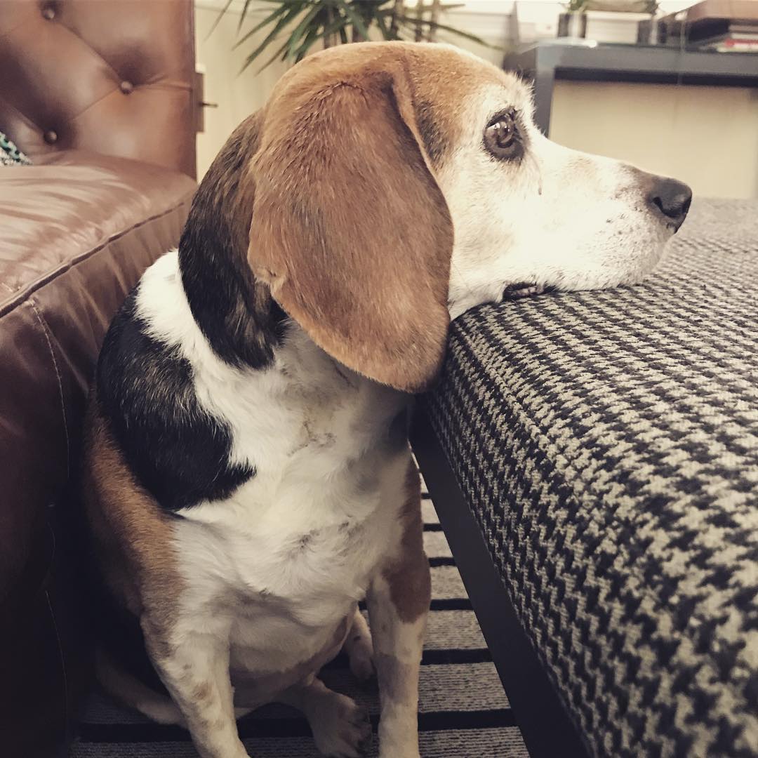 Back to his normal self.