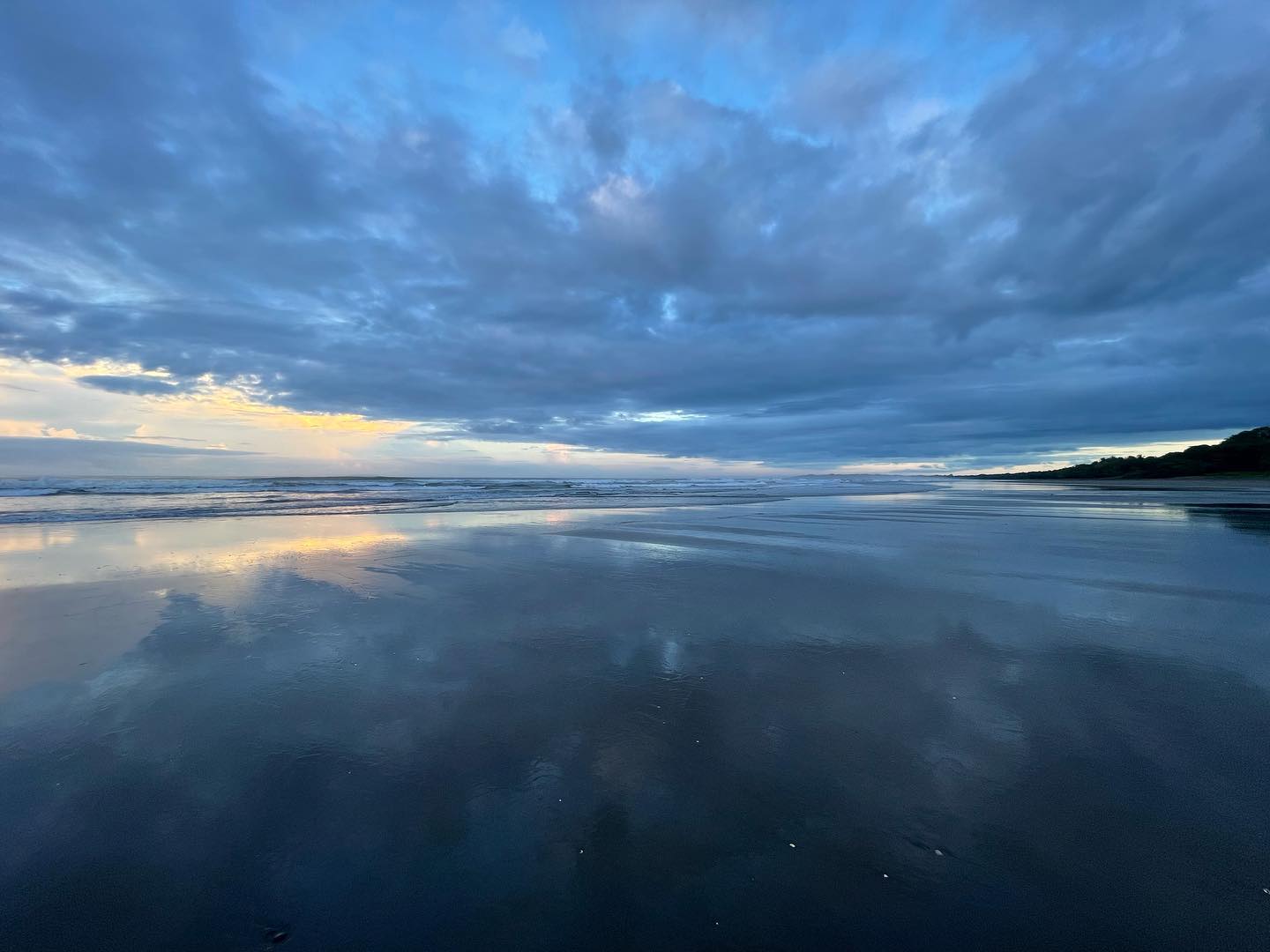 Every morning, I curse the birds for waking me up at 4:30am and then I go to the beach and thank them for this moment.