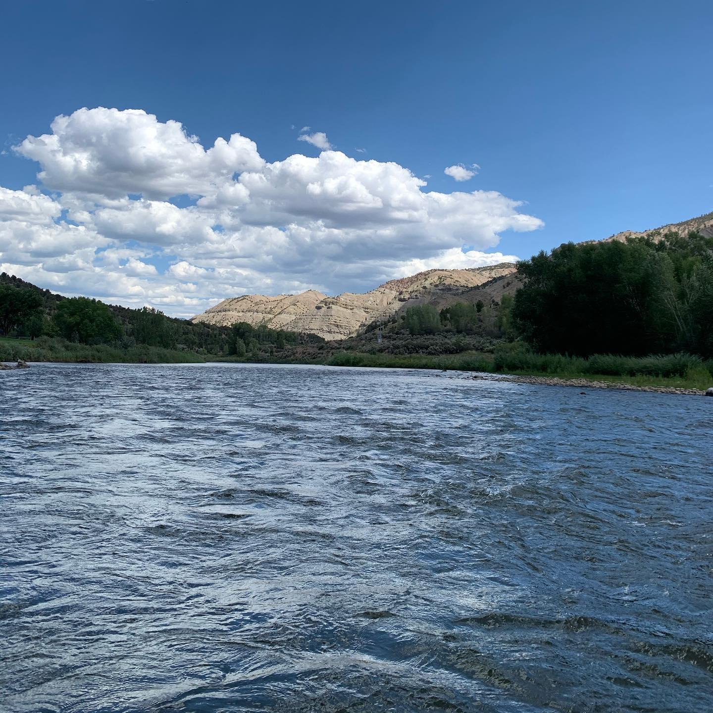 Rafting down the Colorado.