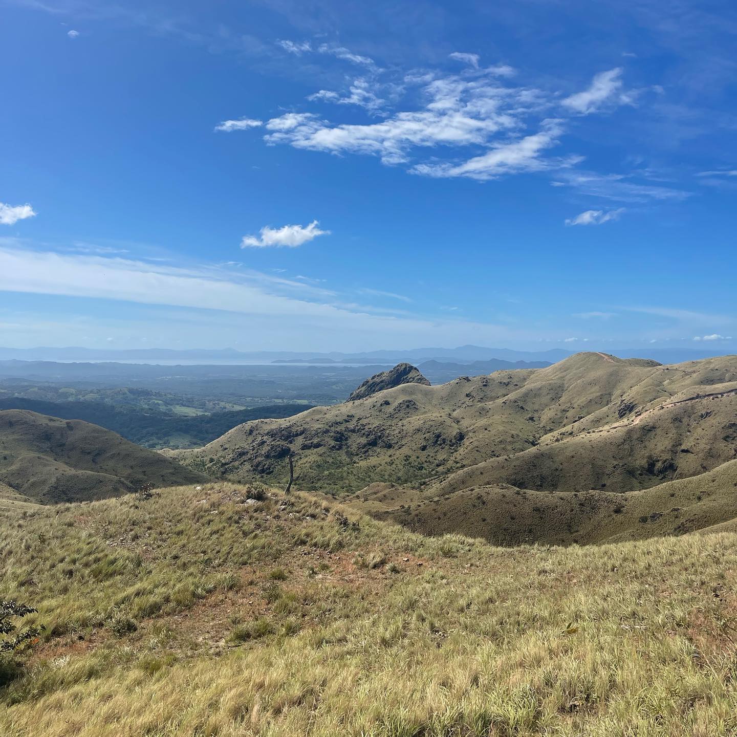 A great quick hike up Cerro Pelado this morning. I’m really happy I have @saltamontico to take me to places like this.