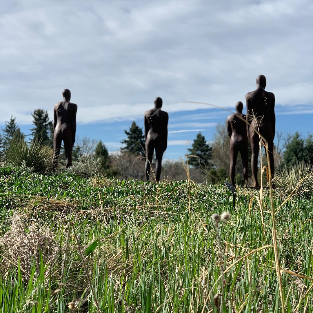 We renewed our @denverbotanic membership and are enjoying a beautiful morning stroll.