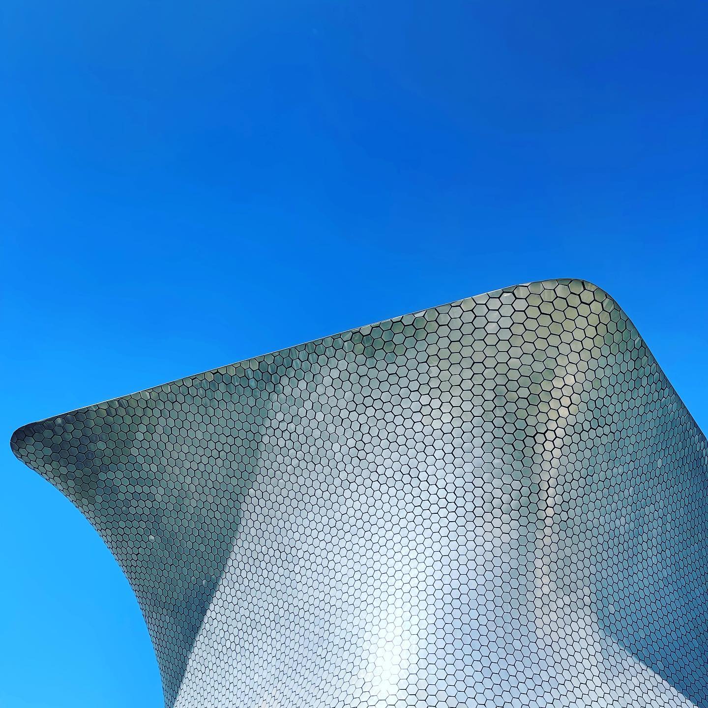 CDMX, you’ll always have my heart. Thanks for another amazing visit (minus the food poisoning). ¡Hasta pronto!
