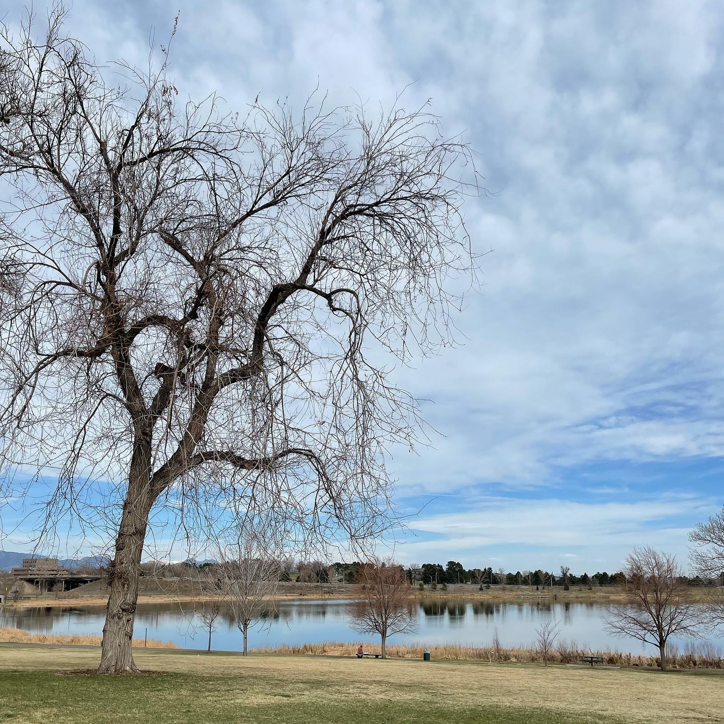 An Easter morning walk, looking for signs of spring. Very few were found.